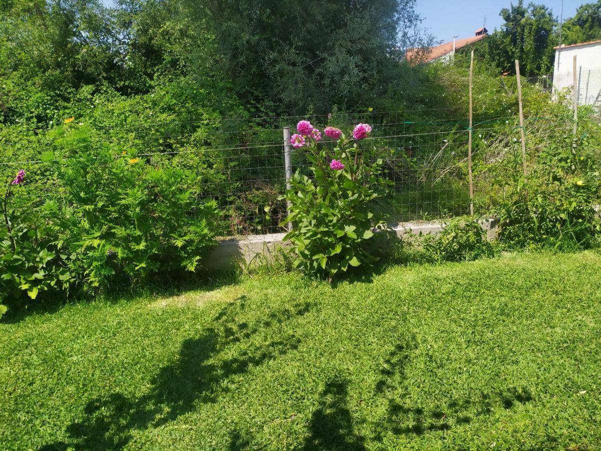 Ioannis Seaside Villa Leptokarya  Exterior photo